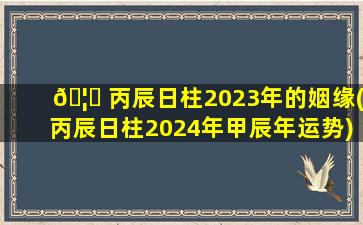 🦁 丙辰日柱2023年的姻缘(丙辰日柱2024年甲辰年运势)